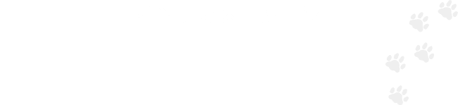 インフォメーション